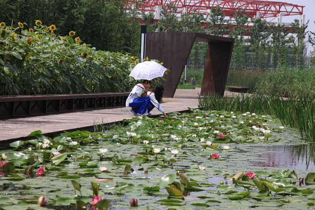 Shanghai-Houtan-Park.jpg